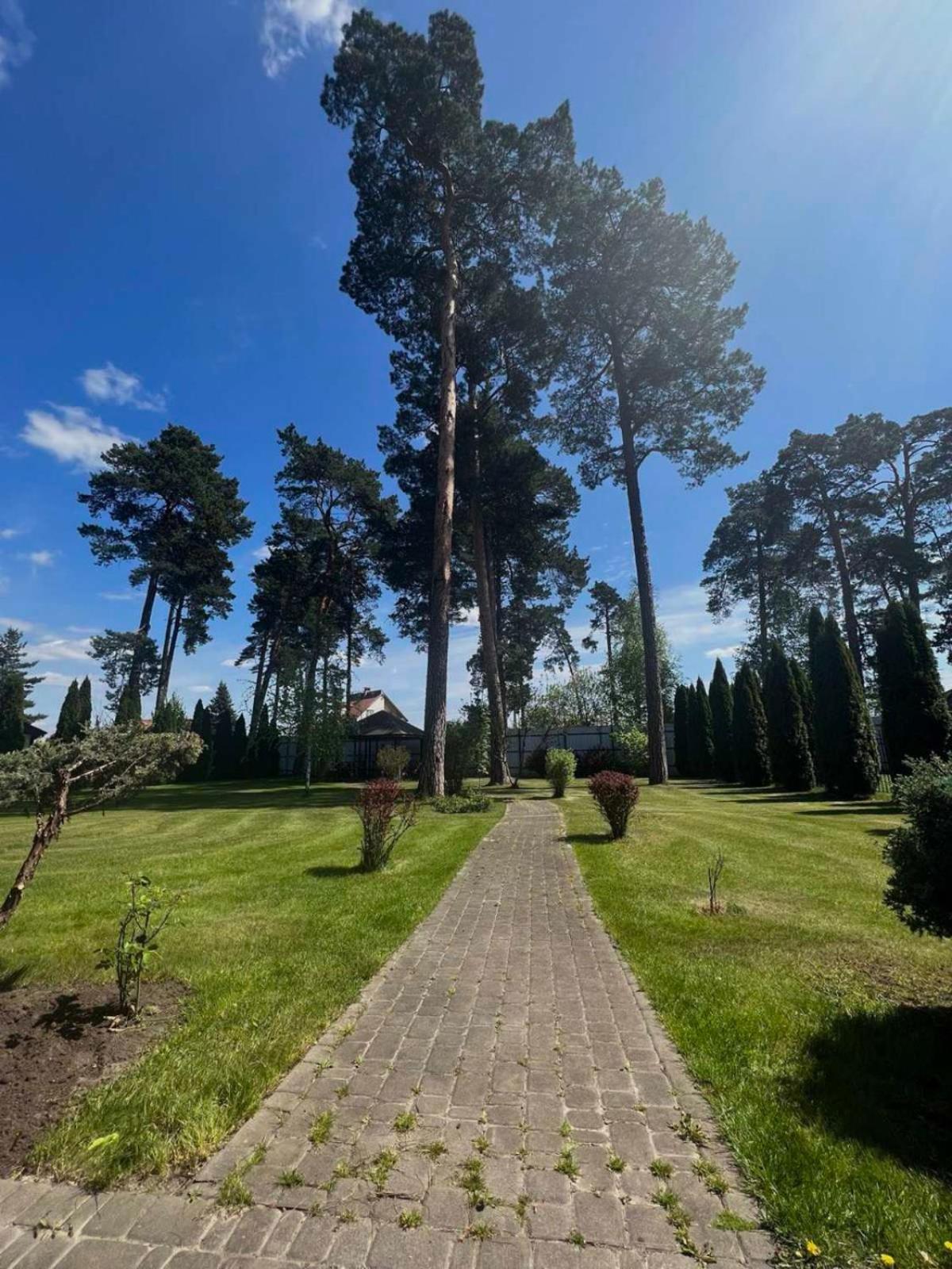 Borovik Hotel Novosilki Buitenkant foto