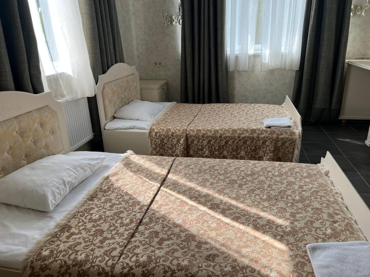 Borovik Hotel Novosilki Buitenkant foto
