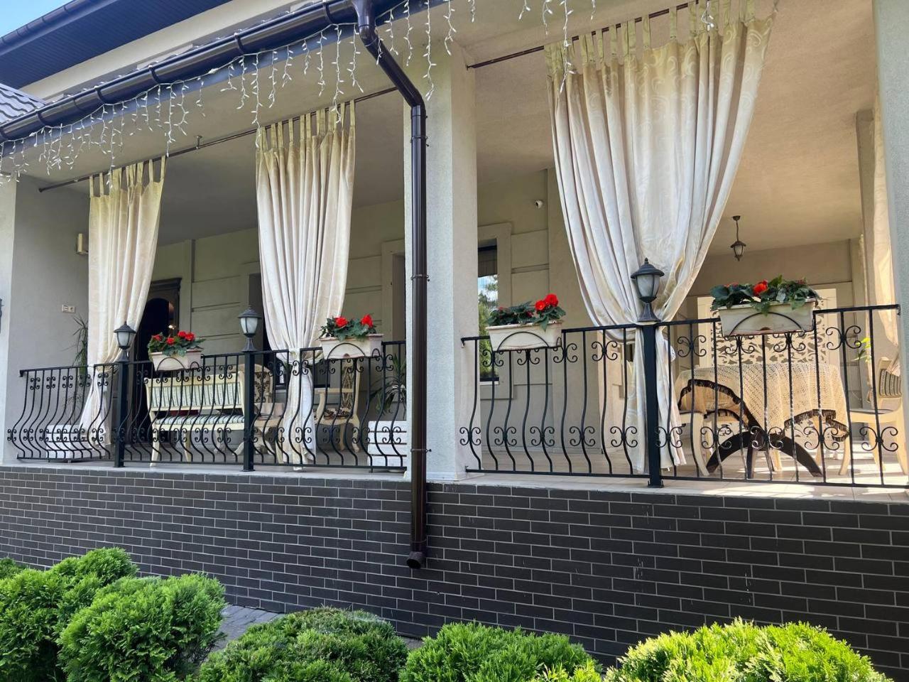 Borovik Hotel Novosilki Buitenkant foto